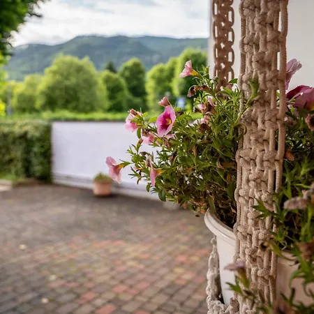 فندق مبيت وإفطار Teresa 3*